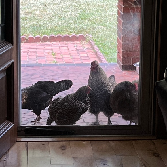 Meet your Posher, Kerry - Picture 9 of 12